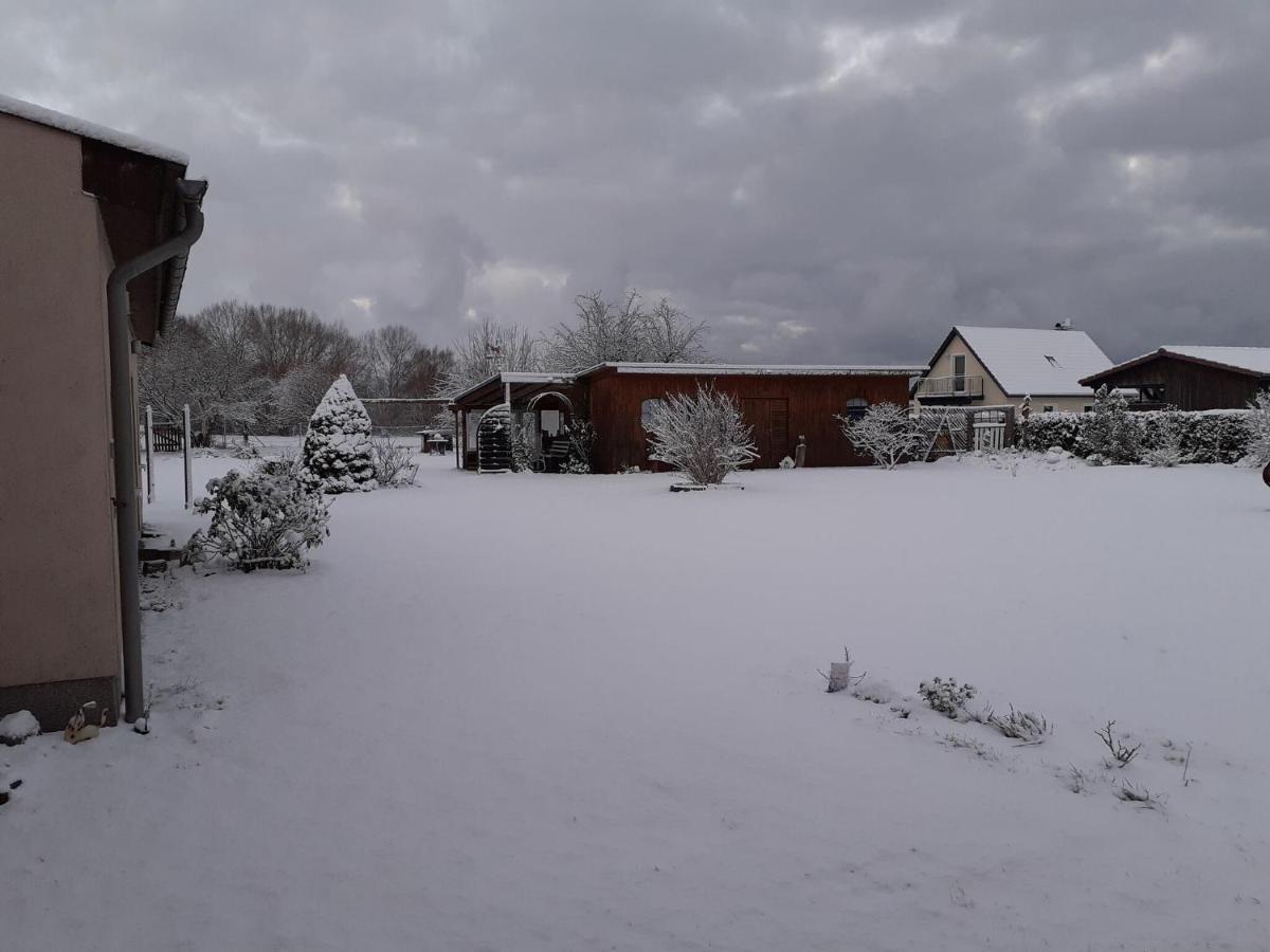 Idyllic Bungalow In Pepelow With Garden Eksteriør billede
